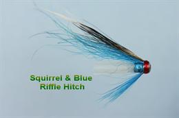 Squirrel and Blue Hitch 